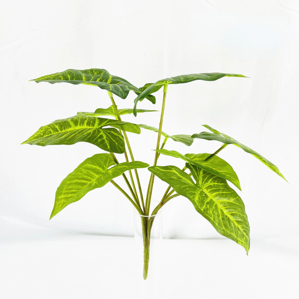 plante artificielle décorative feuilles vertes blanches rouges salon maison moderne naturel