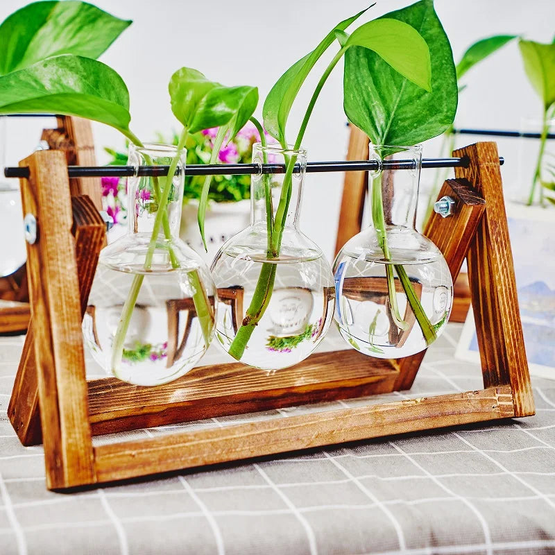 support vases transparents bois industriel trois vases verre plantes minimaliste structure métal horizontal