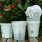 pots plantes transparents blancs modernes minimalistes grille drainage différents disponibles