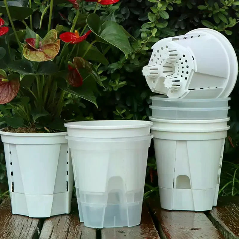 pots plantes transparents blancs modernes minimalistes grille drainage différents disponibles