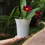pot fleurs rond moderne fibre végétale blanc noir bac jardin intérieur extérieur décoration maison