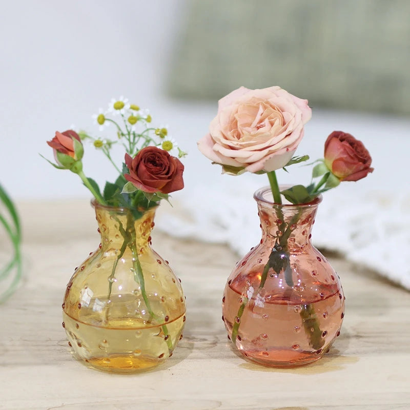 vases transparents modernes artificielles couleurs variées décoration intérieure minimaliste