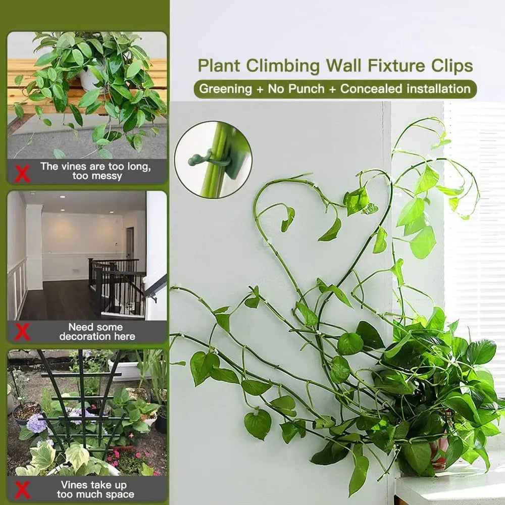 support mural plantes grimpantes clips autoadhésifs vert clair moderne minimalisteintérieur extérieur facile montage détachement