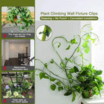support mural plantes grimpantes clips autoadhésifs vert clair moderne minimalisteintérieur extérieur facile montage détachement