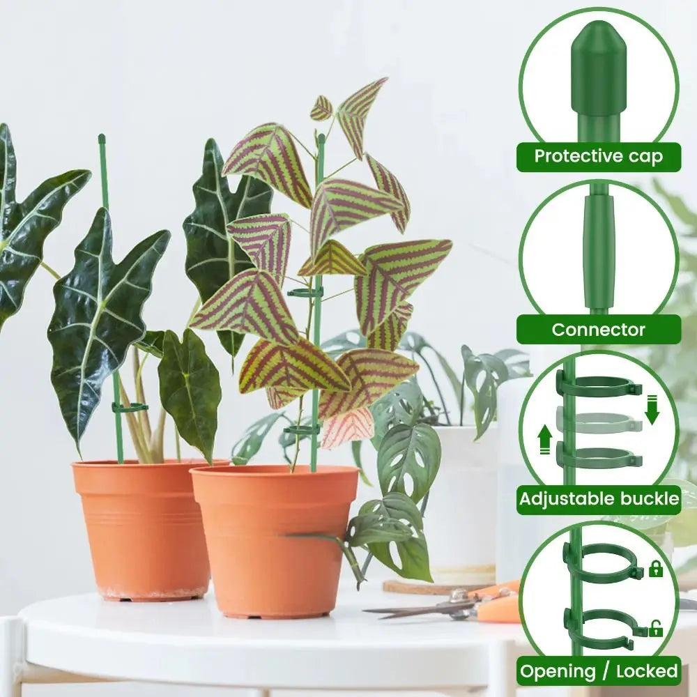 supports plantes vert modernes 30cm 40cm 45cm 10 pièces protections connecteurs