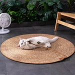 tapis gratter chat tissé main spirale beige clair protection meuble accessoire intérieur balle jouet