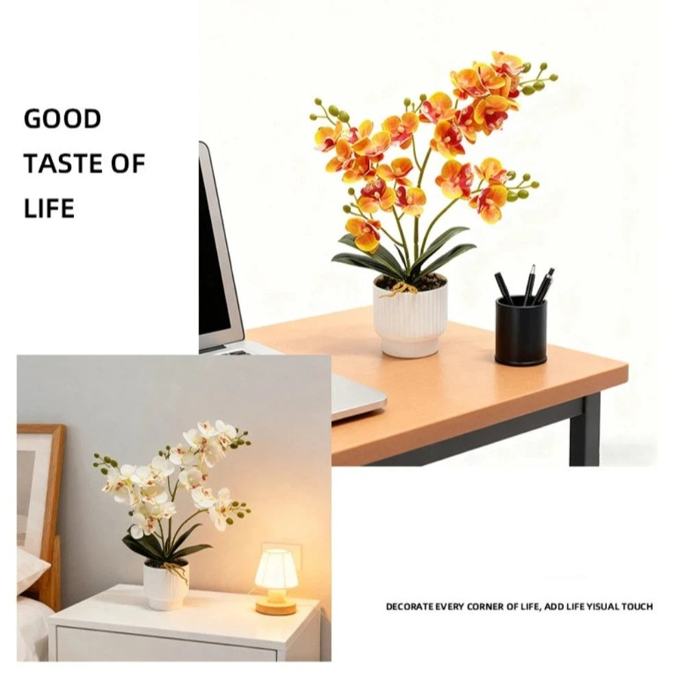 décoration intérieure orchidées artificielles fleurs douces moderne pot blanc feux vertes