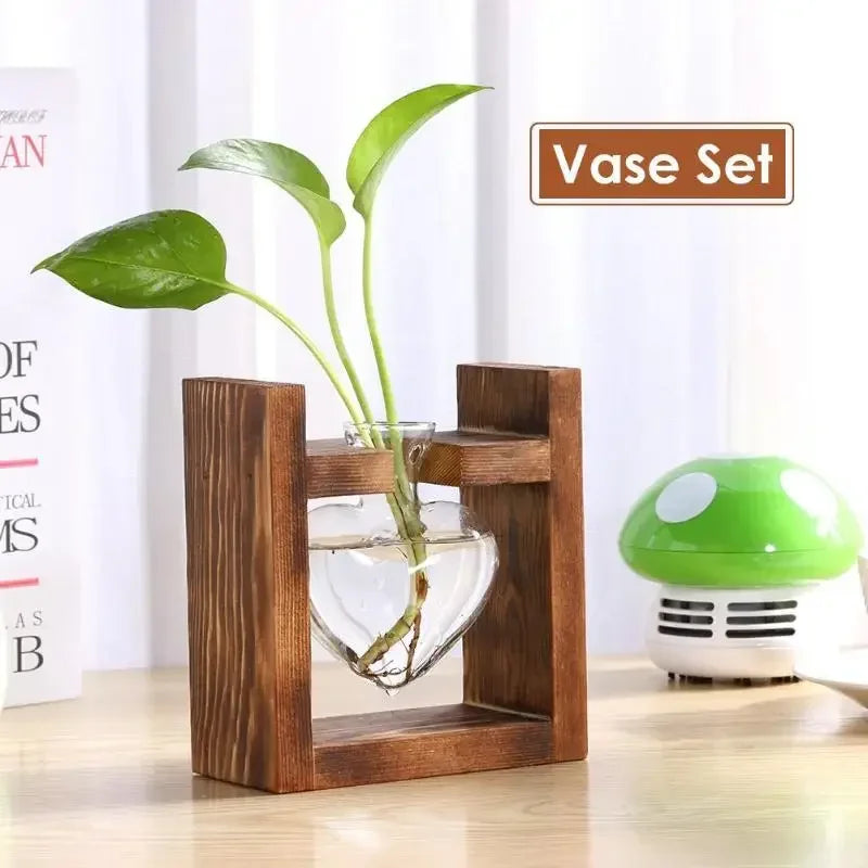 Vase en verre avec cadre en bois pour plantes hydroponiques en forme de cœur