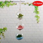 terrarium suspendu verre transparent plante mousse fleur moderne minimaliste