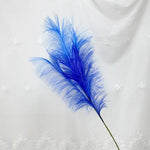 plumes décoratives intérieures violet bleu rose jaune orange blanc rouge naturel simple