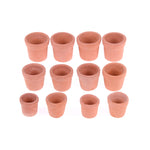 pots miniature terre cuite différents tailles fleurs jaunes plante grasse rustic
