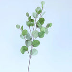 bouquet artificiel feuilles ovales moderne vase transparent support doré couleurs vives exposition intérieure