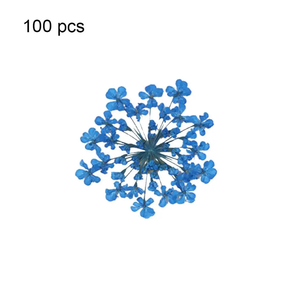 fleurs séchées pressées coque téléphone transparente arbre fleurs roses naturel artisanat bijoux 100 pièces