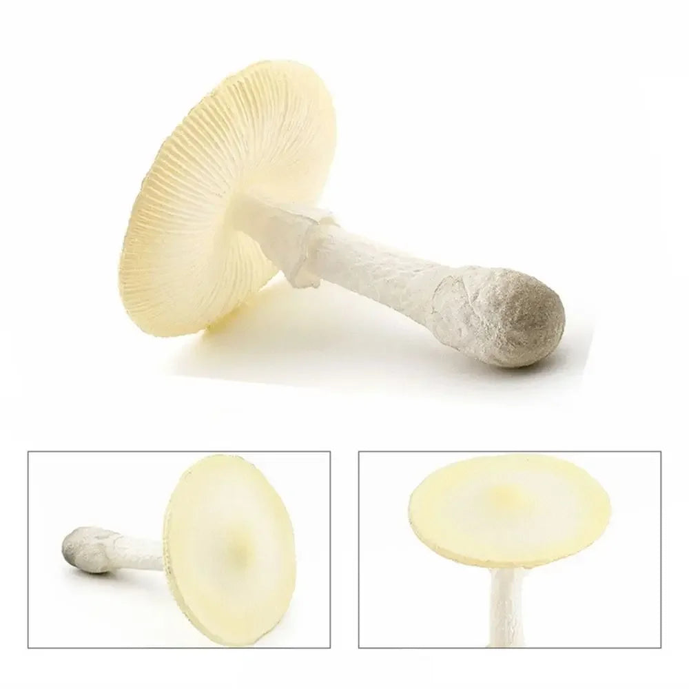 champignons décoratifs résine marron rouge lisses réels jardin decoration pointillés adultes