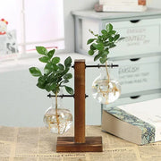 Terrarium hydroponique vintage avec cadre en bois - Vase transparent pour plantes d'intérieur - Décoration table et bureau