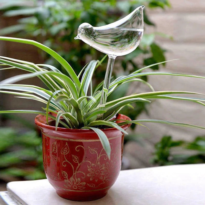 arrosage plantes oiseau verre transparent moderne minimalisteintérieur jardinDecorationUsageIdéal plantes verte