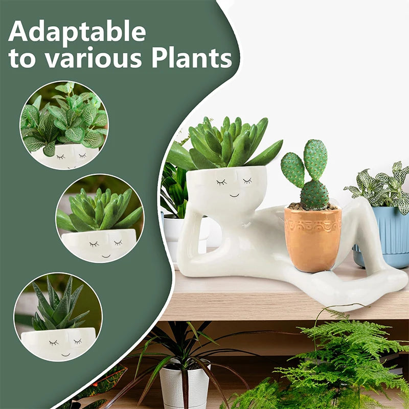 pots fleurs décoratifs blanc bleu foncé succulentes visage stylé modernes minimalistesintérieur