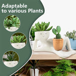 pots fleurs décoratifs blanc bleu foncé succulentes visage stylé modernes minimalistesintérieur