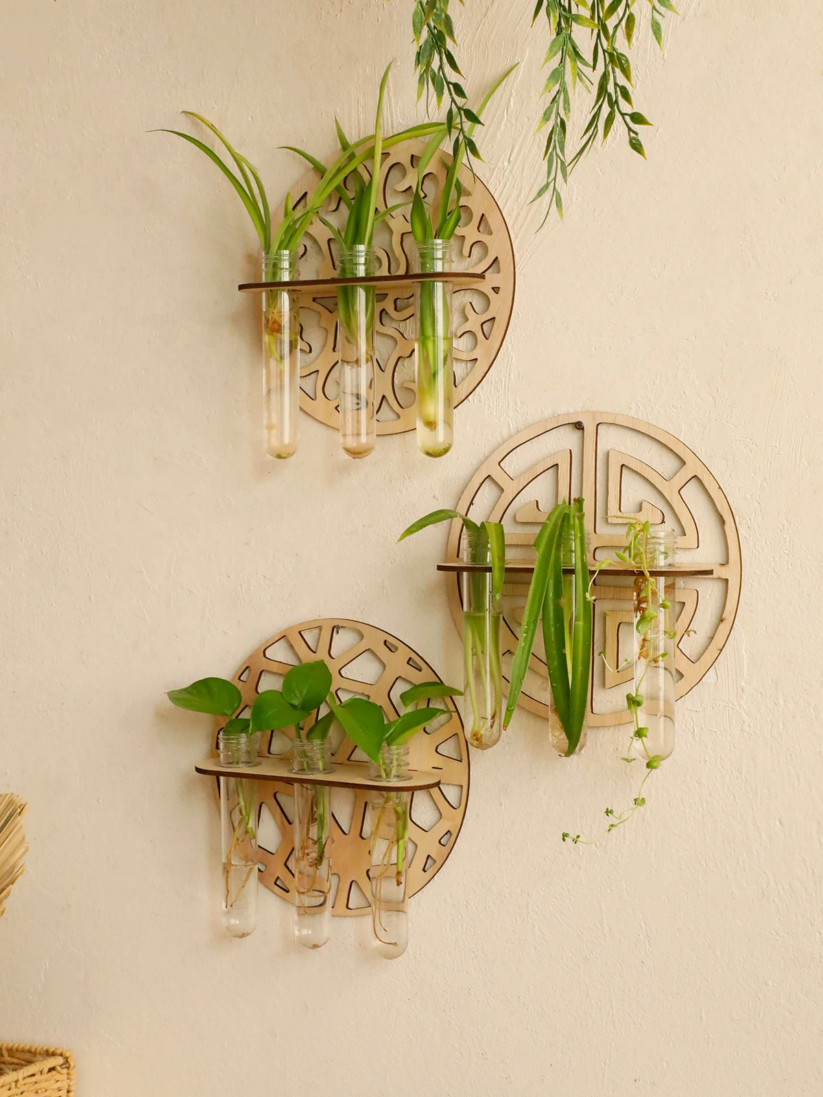 décoration murale étagère bois tubes essai géométrique moderne plantes vertes gravure opaque fixations