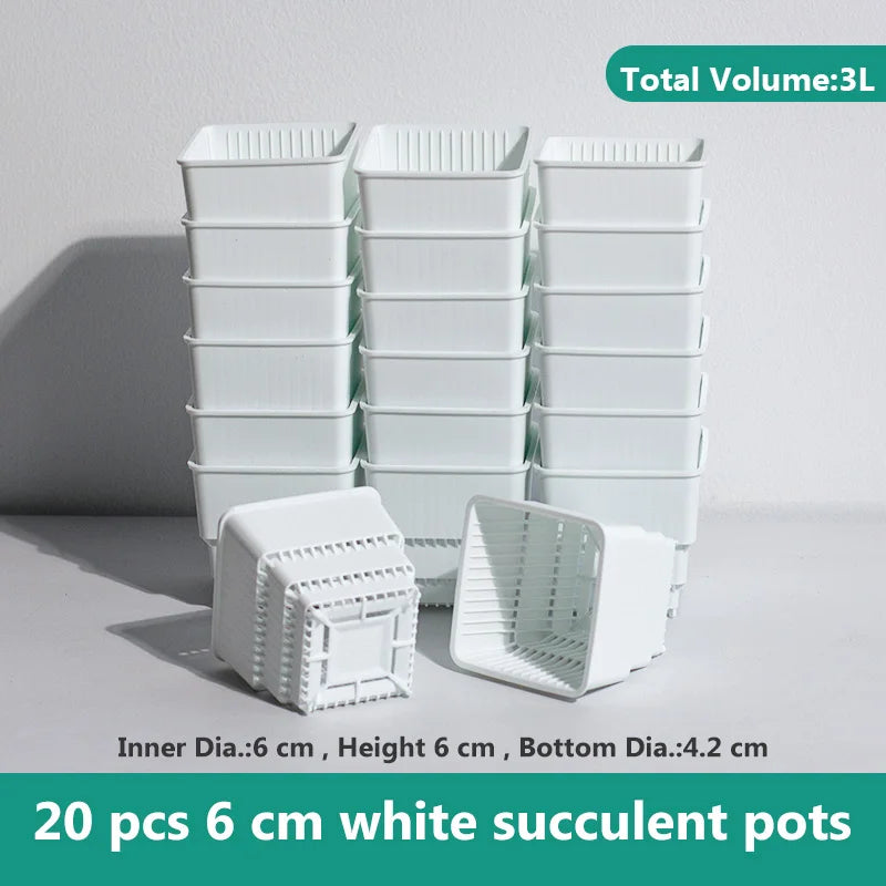 pots plantes plastique moderne blanc cactus succulents lithops drainage decoration maison