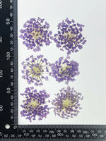 fleurs séchées violettes bleues décor maison anniversaire baby shower bricolage peinture décoration naturelle artificielle