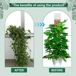 poteau mousse plastique transparent moderne 24 pouces adhésif support plante grimpanteintérieur