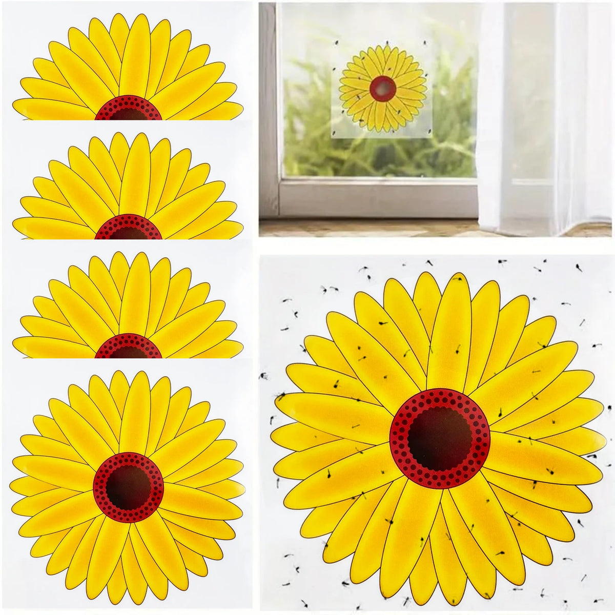 pièges insectes fleur tournesol adhésifs fenêtre transparents jaune rouge blanc marron utilitaires décoratifs