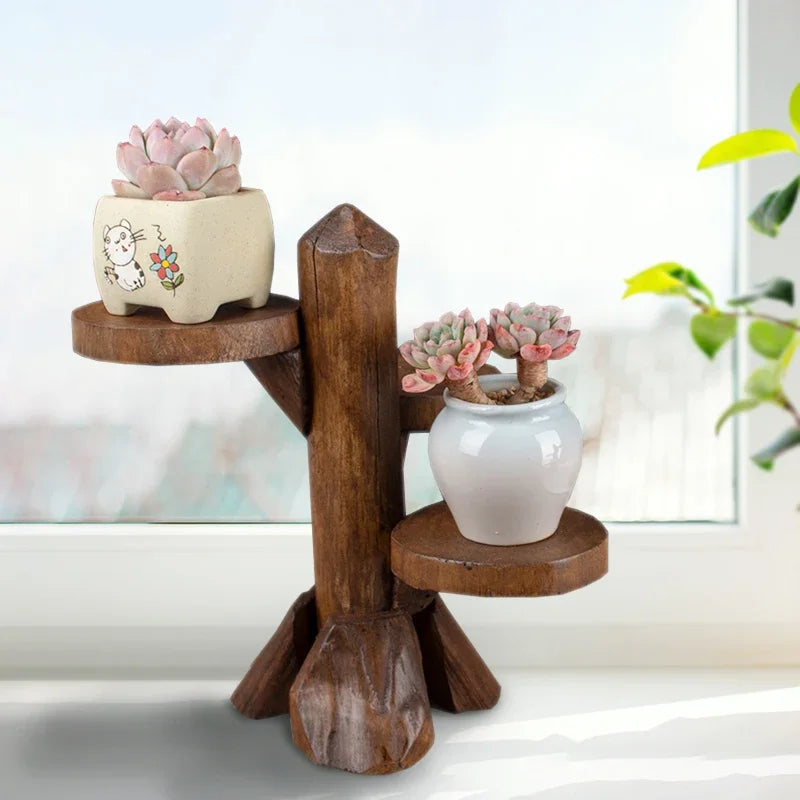 support plantes succulentes bois brut trois niveaux pots opaques rustique naturellementsucculentes