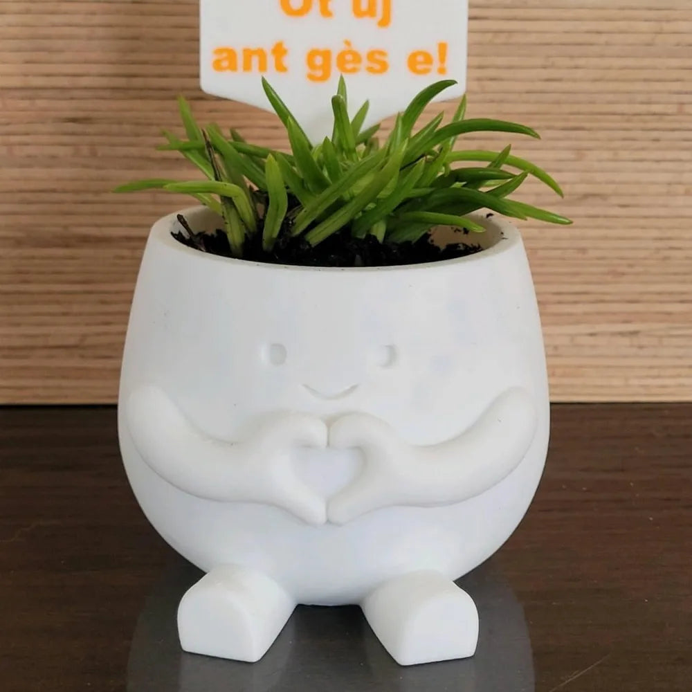 pot fleurs blanc forme mains cœur plante verte motif rayé décoration moderne intérieur extérieur