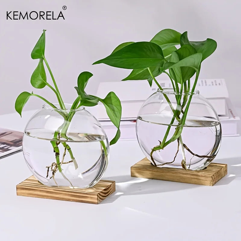 vase transparent bois feuilles plantes aquatiques fleurs rose intérieur décoration eau minimaliste modernes