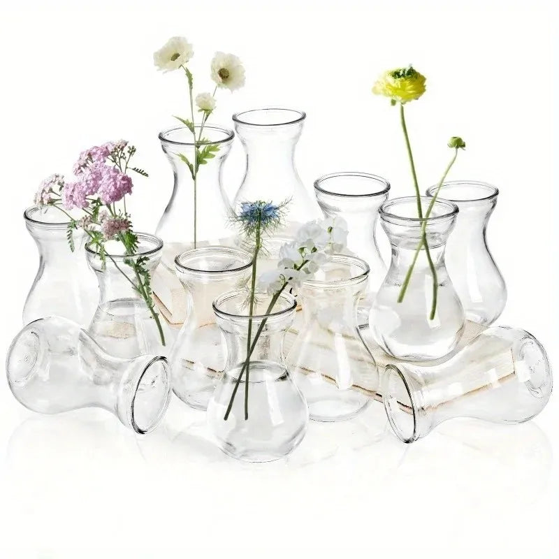 vases transparents modernes minimalistes decoratifs table set pieces différentes collections eventuelles deco