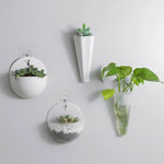 plante murale moderne pot osier suspendu décoration intérieure transparent succulente minimaliste