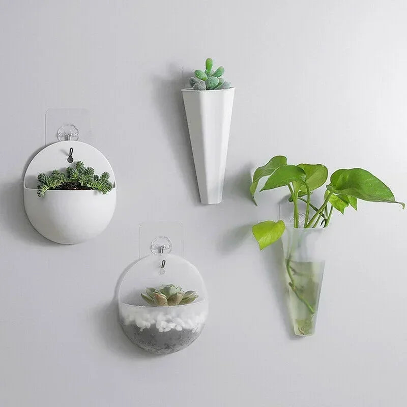 plante murale moderne pot osier suspendu décoration intérieure transparent succulente minimaliste
