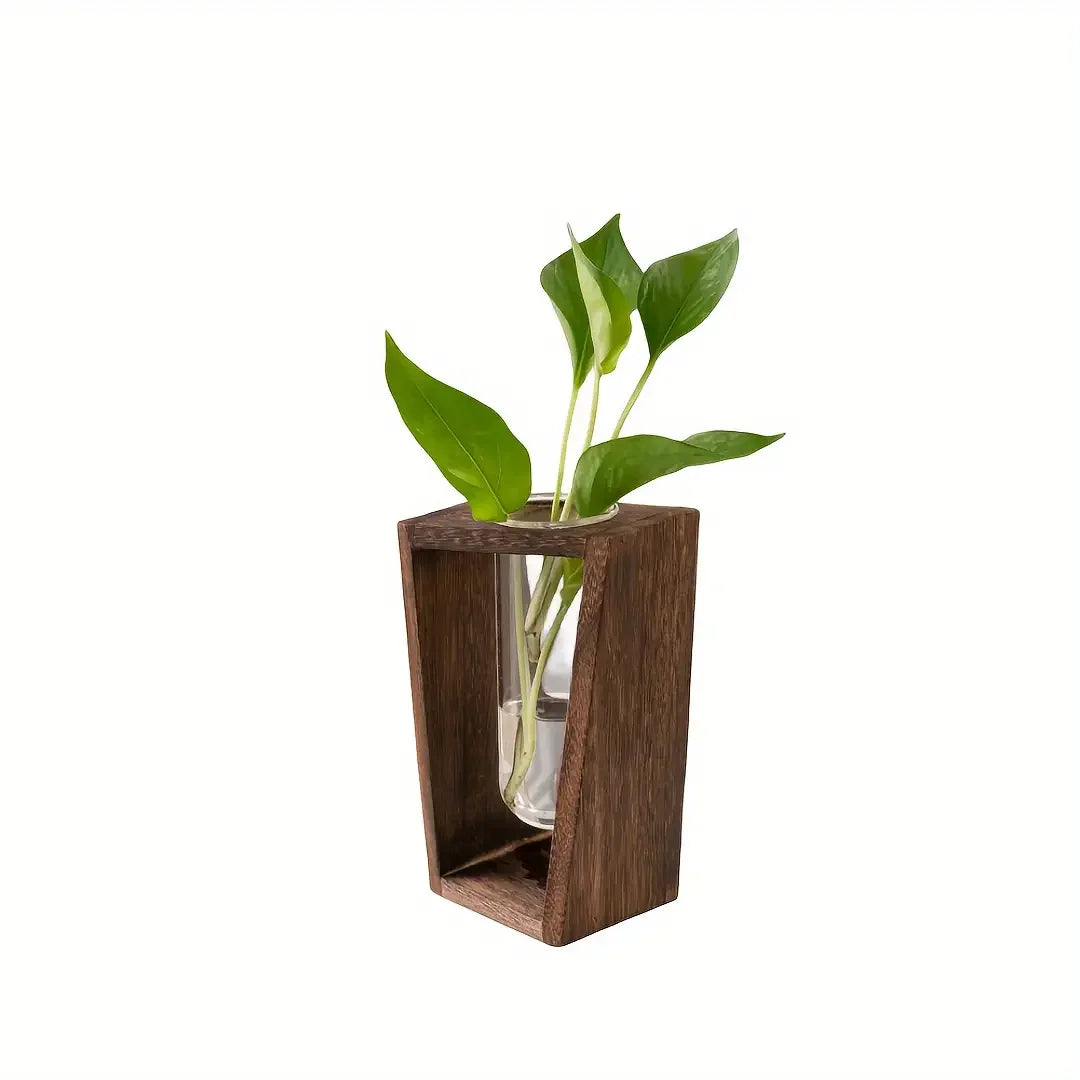 vase transparent bois marron plante verte fleurs blanches deco minimaliste moderne
