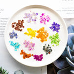 fleurs séchées naturelles bleu vert orange rose violet jaunes fleurs simples décoration diy bijoux