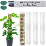 poteau mousse transparent moderne grille support plantes intérieures croissance tutoriel mousse