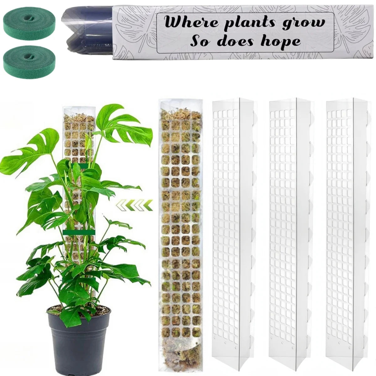 poteau mousse transparent moderne grille support plantes intérieures croissance tutoriel mousse