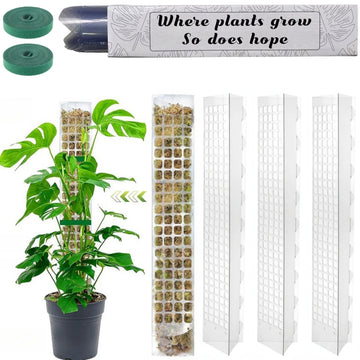 poteau mousse transparent moderne grille support plantes intérieures croissance tutoriel mousse