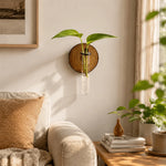 vase mural transparent moderne rustique bois décoration intérieure plantes hydroponiques