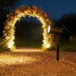 projecteur solaire led ip65 étanche réglable lumière jardin moderneextérieur(rgb chaleureuse)