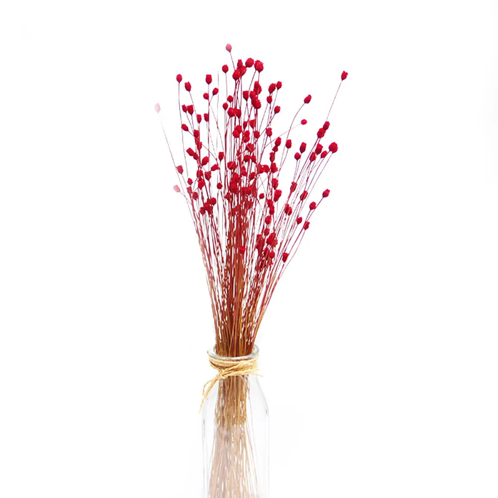 ornements photographie bouquets artificiels couleurs vives naturel rustique fixations ruban jute fond photo