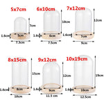 cloche verre transparent moderne base bois naturel boîte rangement fleurs minimalistes différentes tailles