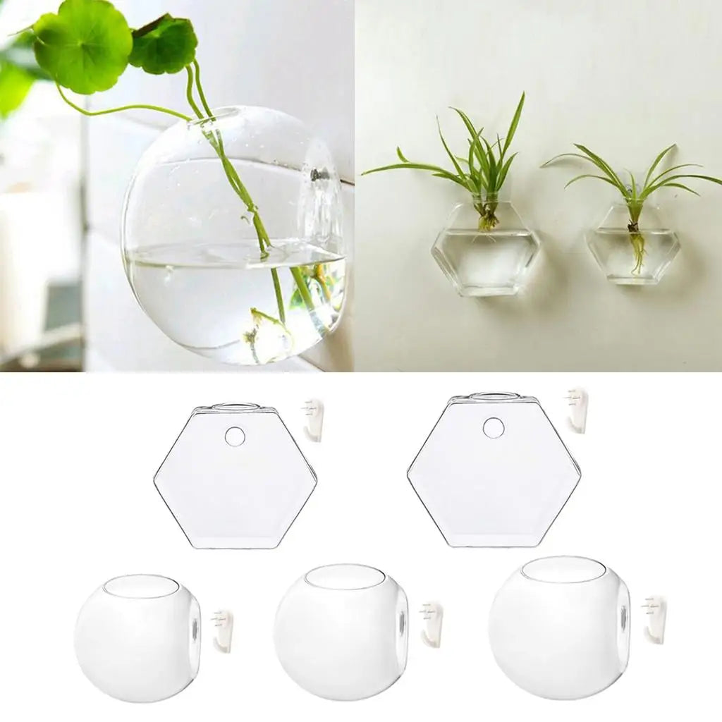 vases suspendus verre transparent modernes clips adhésifs rond hexagonal