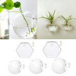 vases suspendus verre transparent modernes clips adhésifs rond hexagonal