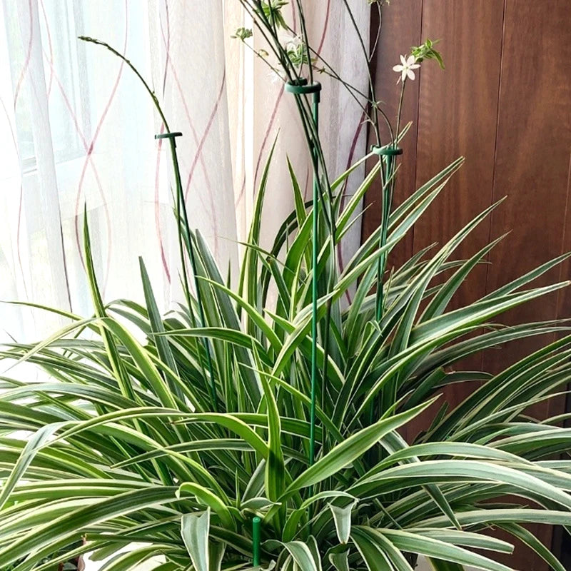 tiges soutien plantes vertes clips anti lodging moderne pot fleurs réutilisables 17cm 27cm 37cm