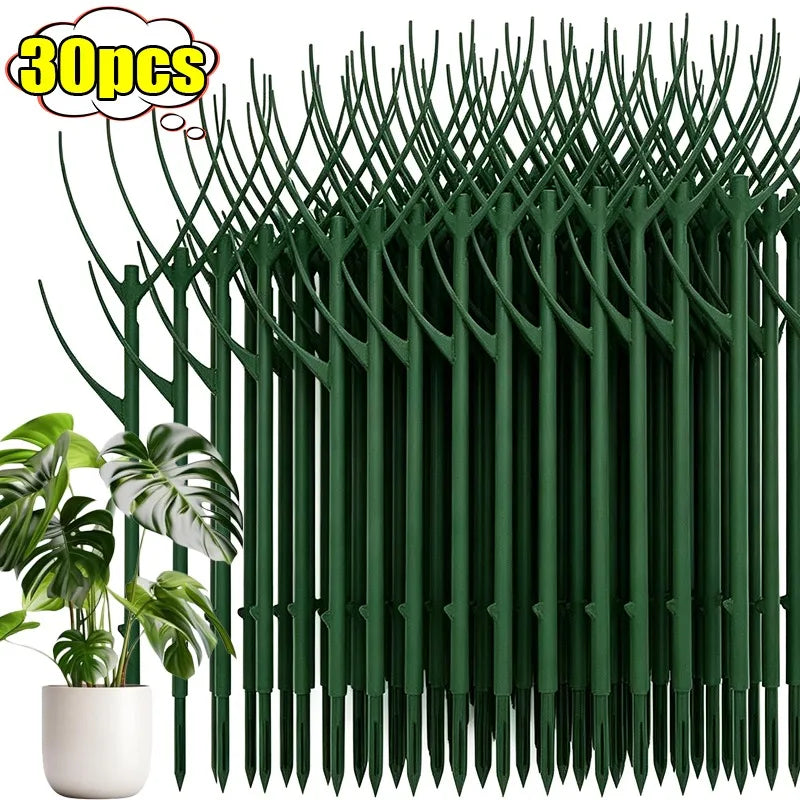 supports plantes grimpantes tuteurs bonsaïs piquets fixation vert foncé moderne jardinage