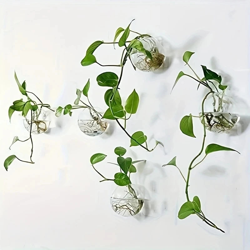 vase mural transparent moderne autoarrosant hydroponique jardinière décoration maison fixations adhésives