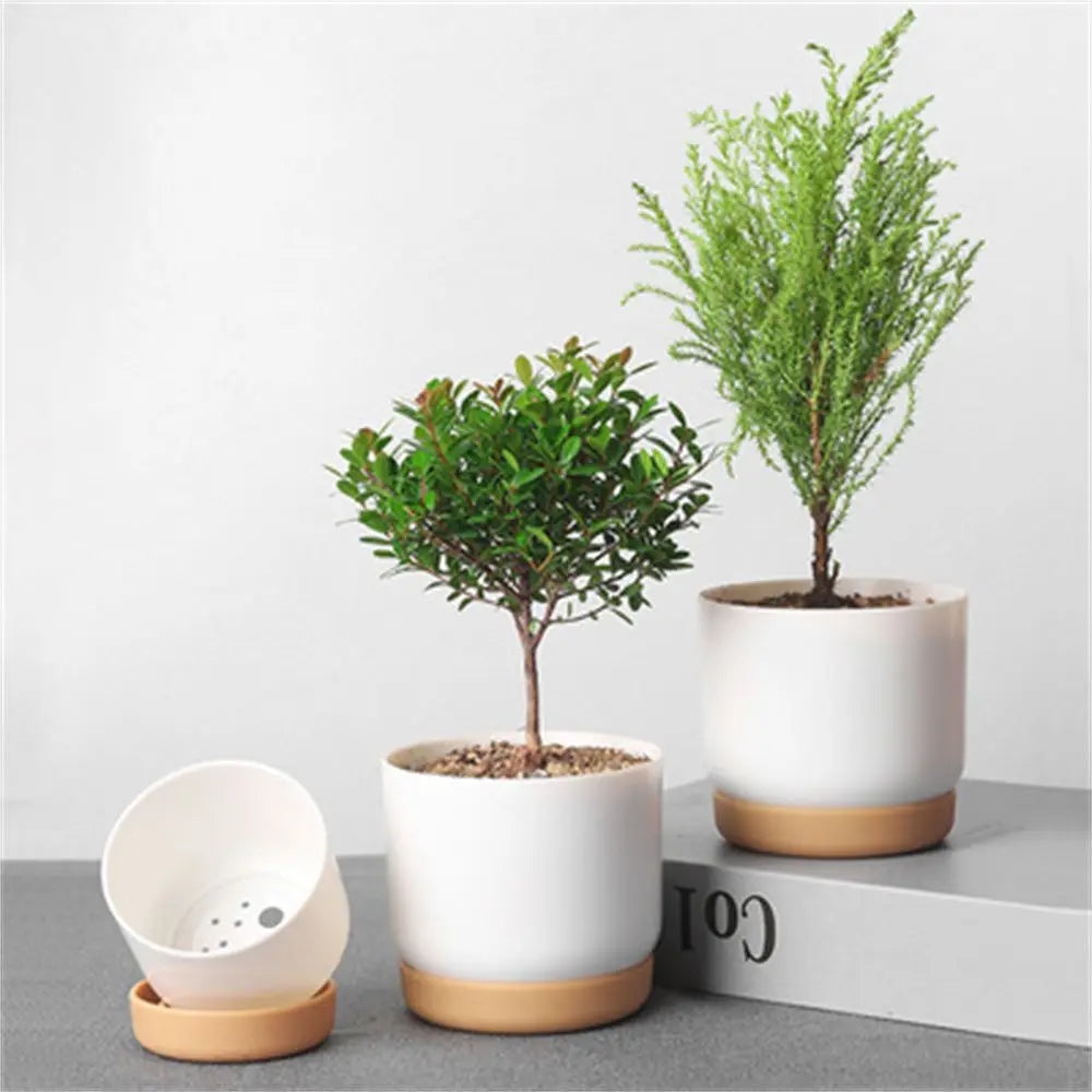 pots plante autoarrosants blancs modernes conteneurs fleurs intérieures orchiées succulentes trous drainage