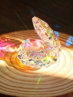 ornement decoratif sculpture huître transparente reflets irisés fantaisie collectionnée