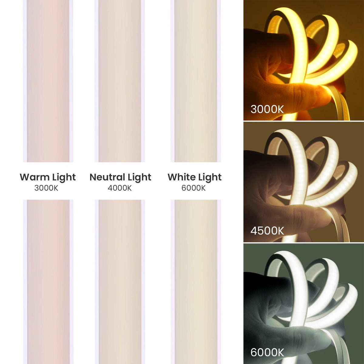 Bande LED COB en coupe montrant les 320 LED par mètre